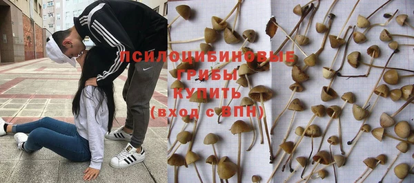 спиды Алексин