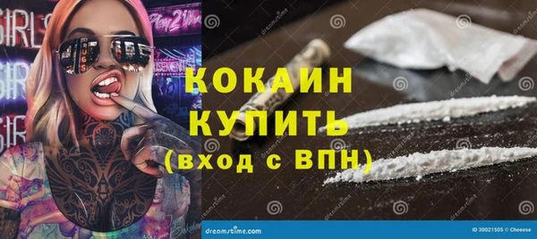 шишки Алзамай