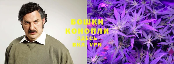 шишки Алзамай