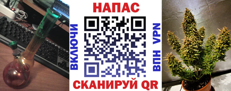 Каннабис семена  продажа наркотиков  Саки 